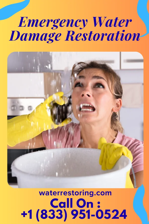 Emergency Water Damage Restoration in Uniondale, IN