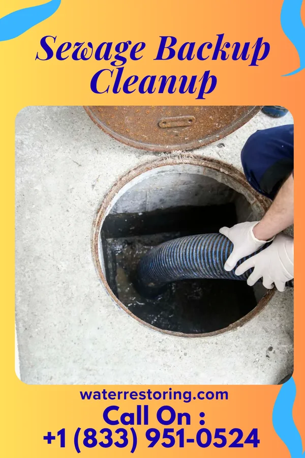 Sewage Backup Cleanup in Uniondale, IN