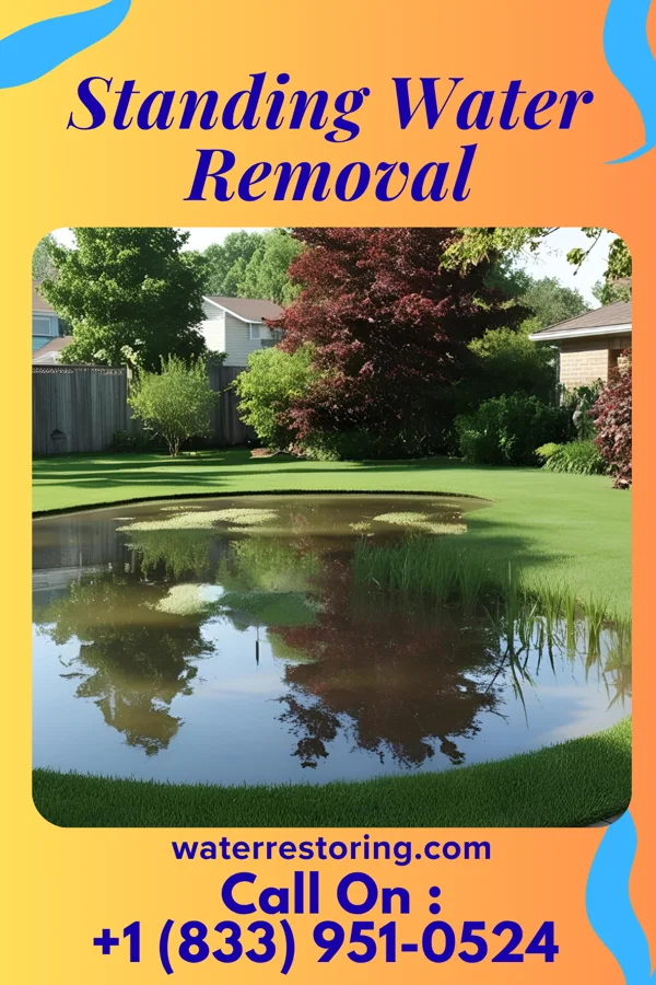 Standing Water Removal in Uniondale, IN